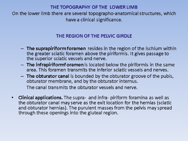 THE TOPOGRAPHY OF THE  LOWER LIMB On the lower limb there are several